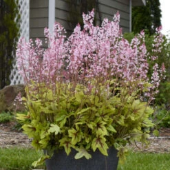 Fun And Games® 'Eye Spy' Foamy Bells -Perennials Store 940d71b1f49c0350021022dffb82a293